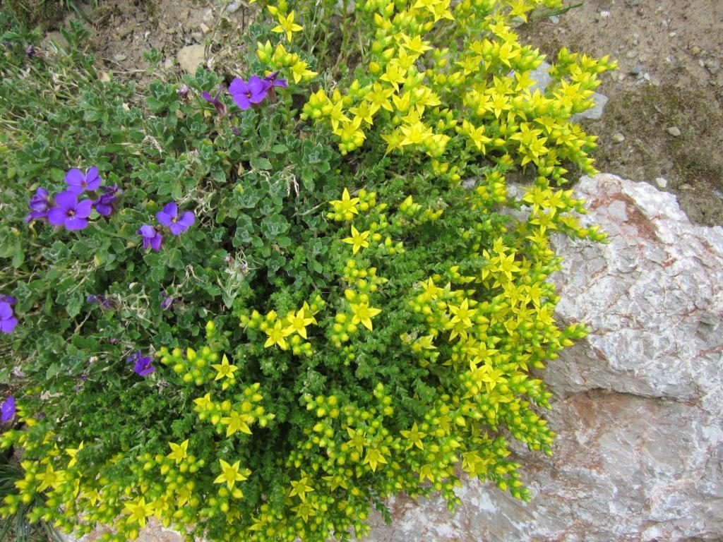 Weisspriach Binderhof 아파트 외부 사진